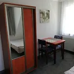 캠프장 Mauritius